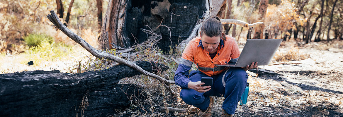 Ecologist with a laptop analyzing the effects of a recent wildfire.