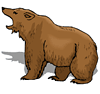 bear