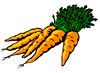 carrots