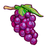 grapes