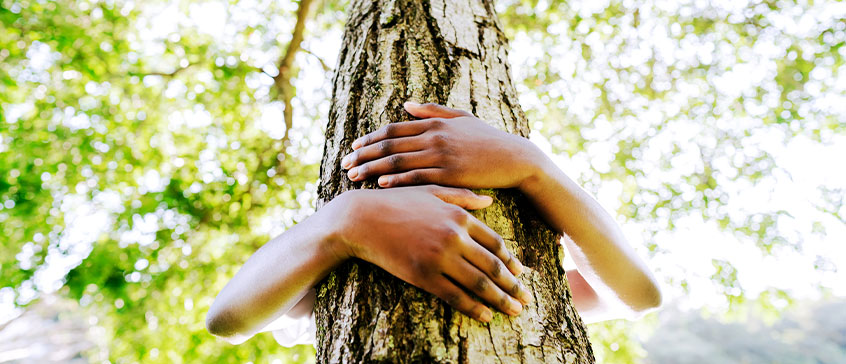 Photo of arms wrapping around a tree to hug it. 