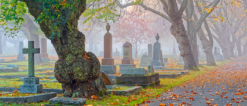 Photo of cemetery 