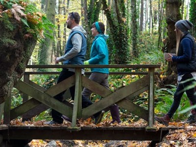 Two people walking over a footbridge in the forest