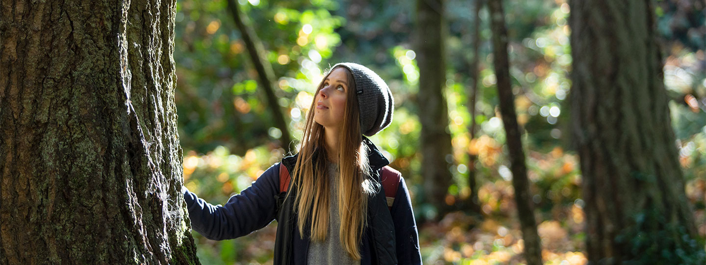 Woman in forest touching tree trunk and looking up