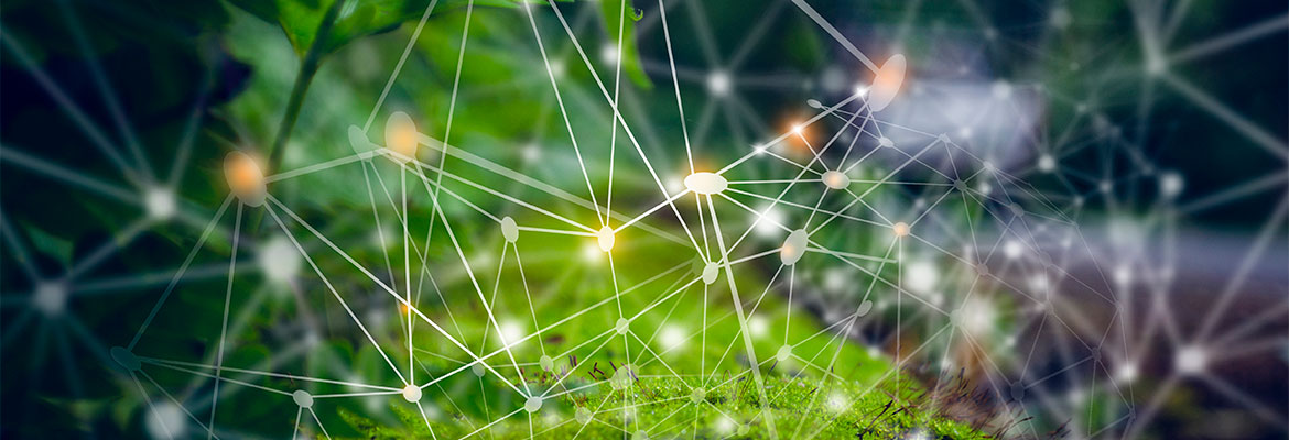 Conceptual image of a computer network overtop a mossy tree trunk