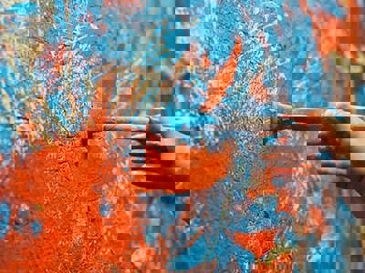 Close-up of hands holding paintbrushes creating an energetic abstract painting with vibrant orange and blue paint splatters and brushstrokes on canvas, demonstrating dynamic painting techniques and colour application.