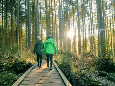 Two people walking on a boardwalk in the forrest