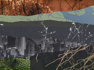 composite image of a ripped strips of photos showing widlfires, satellite maps, cityscape, lush foliage, trees with bare branches depicting a conglomerate of issues in a metacrisis