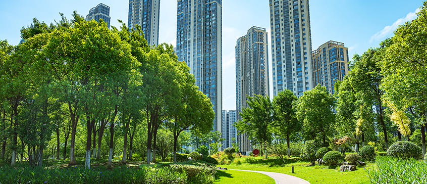 A sunny, vibrant park with lush green trees and manicured lawns in the foreground. A winding paved path curves through the grass. In the background, modern, tall apartment buildings with many windows rise into a clear blue sky.