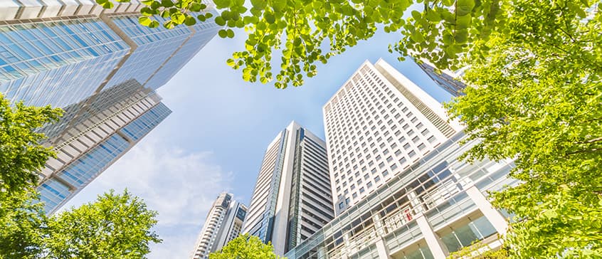 Upward view of modern skyscrapers framed by lush green tree canopy, showcasing the integration of urban development with nature for sustainable city planning and climate resilience.