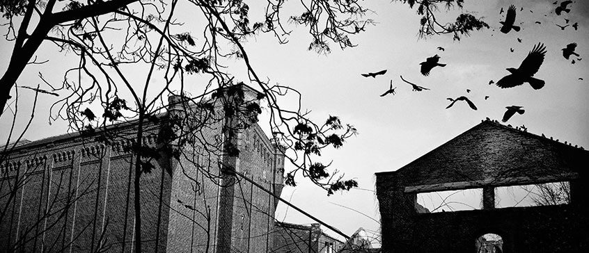 Black and white photo of birds flying around a building. 